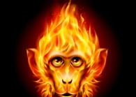 Fire Monkey_123RF.COM